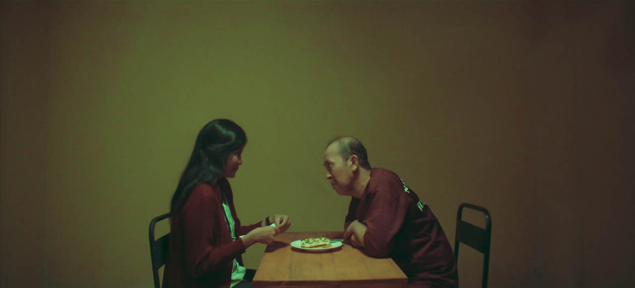 Lasagna_still2